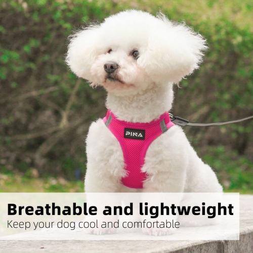 Size S PINA Dog Harness for Small Dogs No Pull, Small Dog Harness and Leash Set, No Choke Breathable Mesh Dog Vest Harness, Lightweight Adjustable Small Medium Dog Harness - Easy to Put On and Take Off