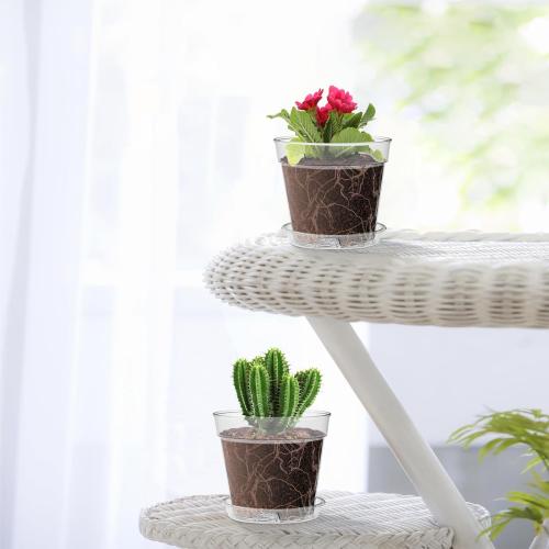 WSMKSZ 4 Inch Clear Nursery Pots, 8 Pack Highly Transparent Plant Pots for Small Indoor Plants with Drainage Holes and Trays, Plastic Seedling Starter Planters for Flowers