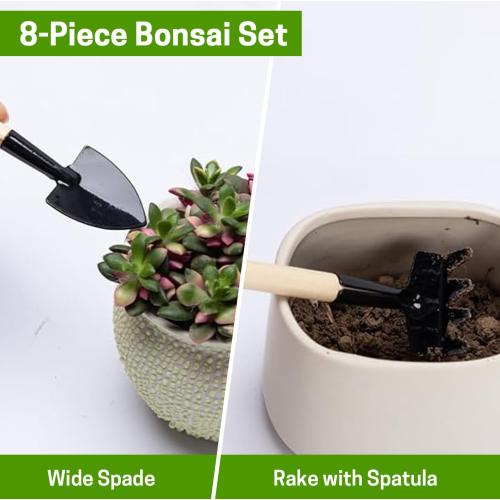 Bonsai Set 8 Pcs - Include Pruner, Fold Scissors, Mini Rake, Bud & Leaf Trimmer Set by ZELARMAN