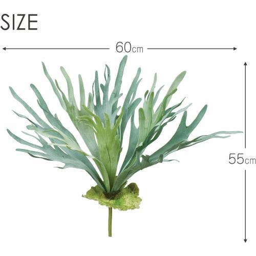 Asuka Artificial Flower Stag Horn Green Total Length: Approx. 21.7 inches (55 cm), Width: Approx. 23.6 inches (60 cm), A-44125-051A