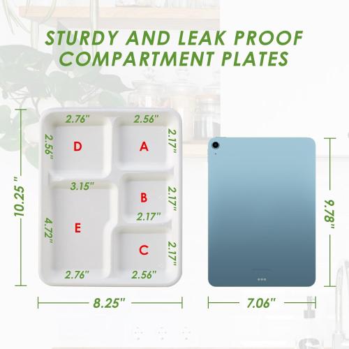 Vplus 100% Compostable 5 Compartment Plates 125 Pack Eco-Friendly Disposable Sugarcane 10 x 8 inch Bagasse School Lunch Tray Perfect for Boys and Girls