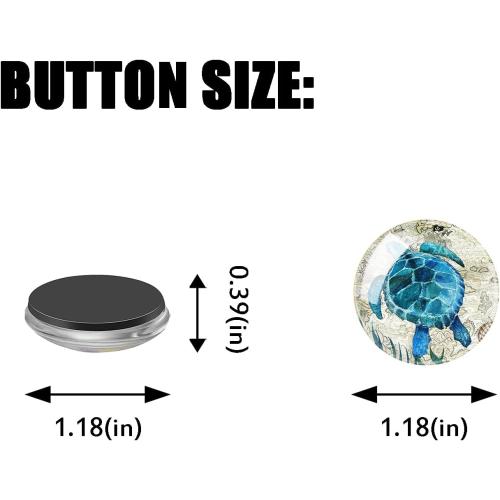 Set of 2 Turtles and sunflowers Round Refrigerator Magnets Glass Fridge Magnets Decoration for Fridge Office Calendar Whiteboard Photo Cabinet 6 Pcs - Retro Turtle