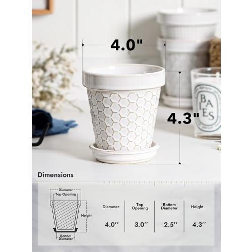 Size 4 inch set of 4 Color White LE TAUCI Ceramic Succulent Pots, 4 Inch Small Plant Pot for Indoor Plant Cactus, Embossed Flower Pots with Drainage Hole & Saucer - Set of 4, Arctic White