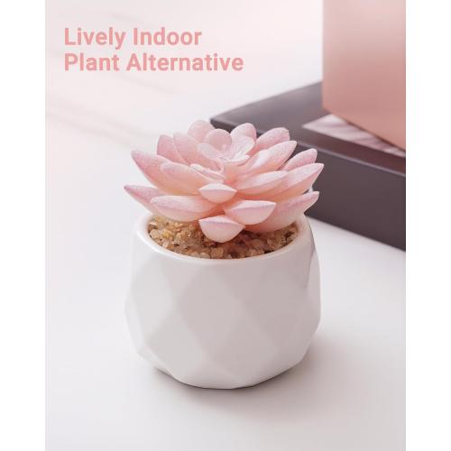 VIVERIE Mini Succulents Plants Artificial in Pots-Rose Pink, Christmas Small Fake Succulents Plants for Home Decor Indoor for Women, White Ceramic Faux Succulents, Set of 1, Gifts for Mom