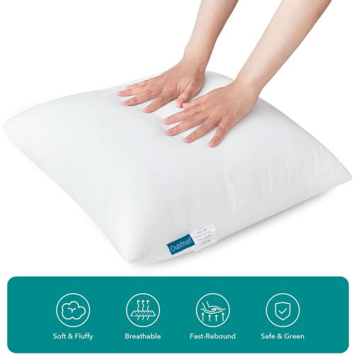 Oubonun 28x28 Throw Pillow Inserts - Supportive & Fluffy Down Alternative Pillows for Couch Sofa Bed, Machine Washable - White, Pack of 2