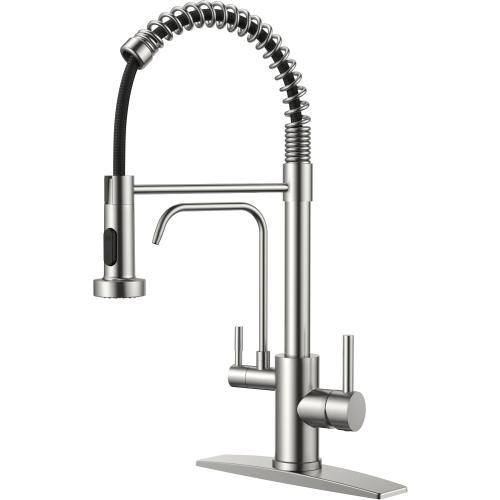FORIOUS Kitchen Faucet with Purfied Water Filter, 2 Handle, Brushed Nickel | Lead-Free Stainless Steel, 2-in-1 Pull Down Sink Faucet and Drinking Water Faucet, for Laundry Utility Room, Outdoor Camper