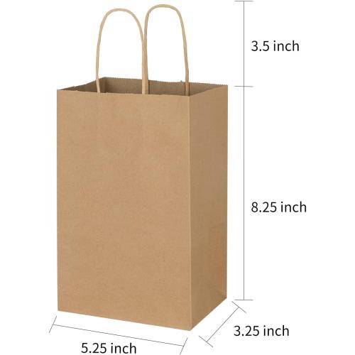 Toovip 100 Pack 5.25x3.25x8.25 Inch Small Plain Brown Kraft Paper Bags with Handles Bulk, Gift Bags for Favor Grocery Retail Party Birthday Shopping Business Goody Craft Merchandise Take Out Sacks