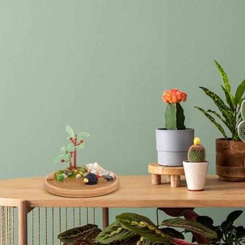 WEBEEDY Japanese Miniature Zen Garden Kit Miniature Ocean Beach Sandbox Decorations Mini Zen Garden Accessories for Christmas Home Office Desktop Decor Gift,Diameter 4/4.2/4.4(10/10.5/11cm)