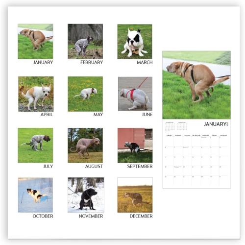 Dog Pooping Calendar 2026, 12 x 12 inch, Funny Gift, White Elephant, Gag Gift, Secret Santa