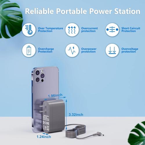 30.45V Replacement for Dyson Vacuum Charger for Dyson V10 V11 V12 V15 SV12 SV14 SV16 SV20 SV22 Absolute Animal Motorhead Cordless Vacuum Power Supply【6Ft ETL Listed,Please Check Port 4.8 * 1.7mm】