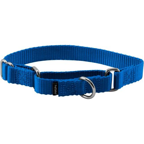 PetSafe Martingale Dog Collar Small, 3/4 Inch, Royal Blue