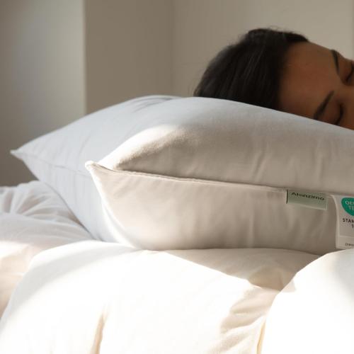 A Size Set of 2, Hotel Collection Fluffy sofa Pillows for Sleeping, 100% Cotton Cover Soft Pillow 22x22 2 Pack