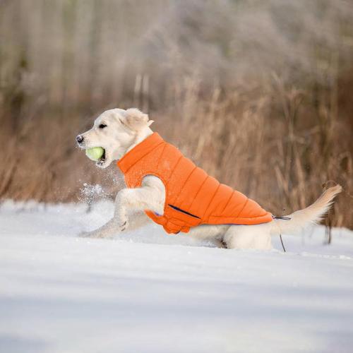 Lelepet Reversible Large Dog Coat Waterproof Dog Jacket Windproof Puffer Vest for Winter Warm Lightweight Coats for Medium Dogs Adjustbale Hook & Loop Pet Apparel with Leash Hole, French Bulldog, Orange, L