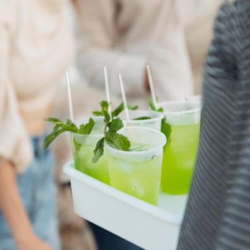 Plastic Straws 500 Pcs Individually Wrapped Clear Disposable Drinking Straw | 10.2 Long Made in USA - Straight Long Straws for Party, 0.23'' Diameter