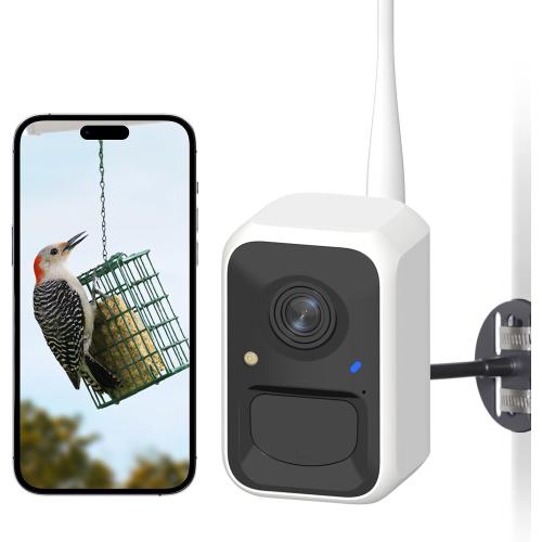 NETVUE by Birdfy Smart Bird Feeder Camera, Adjustable Brackets, Auto Bird Video Capture, Instant Notifications, AI Identify 6000  Species