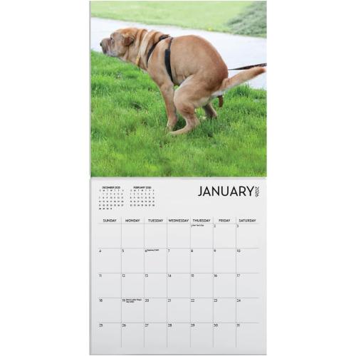 Dog Pooping Calendar 2026, 12 x 12 inch, Funny Gift, White Elephant, Gag Gift, Secret Santa