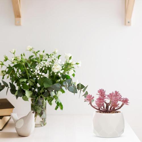 Artificial Succulents Bonsai Set 4pcs, Realistic Fake Succulent Plant Pots, Vivid Desktop Potted Plants Décor for Home Office Decoration