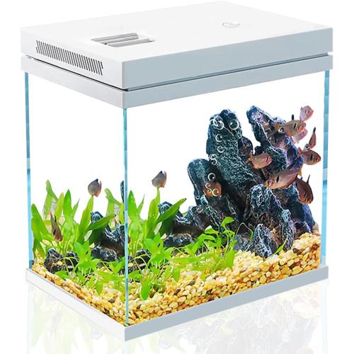 Fish Tank, 4 Gallon Nano-Aquarium, Upgrade Filter System and LED Light, for Freshwater & Marine, Filter Balls Included (4 Gal)