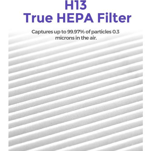 1-Year Pack Air Purifier Replacement Filter for AP001R, True HEPA Filter, 4 Pack