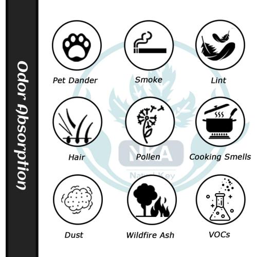 1 Pack AP01(H01) hepa filter replacement Only Compatible with himox air purifier filter replacement AP01 Air Purifier, 3-Stage Filtration for AP01 Replacement Filter【Not Fit for Ganiza A10】
