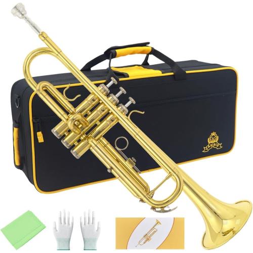 Trumpet Instrument,Band & Orchestra Musical Instruments for Beginners,With trumpets case,Mouthpiece,Cloth and Gloves (Golden)