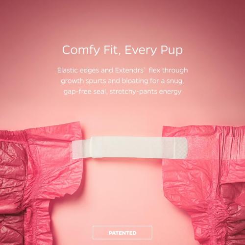 Pet Parents® DiPees® Disposable Dog Diapers   Extendrs®, Leak Proof, Up to 75% Plant Based, Premium Disposable Dog Diapers Female (Princess, Large (17-28), 20ct)