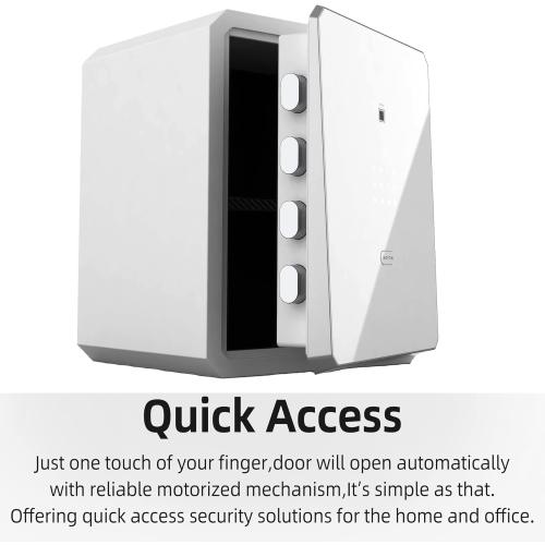 Family Fingerprint Password Safe Box with Key,Cabinets for Home Offcie,Security Box,Document safe,Lock box,Case Box, 2.1Cubic feet White