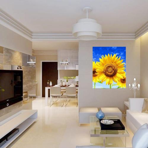 40X50 cm Wooden Frame DIY Picture Frames Art Suitable for Home Decor Painting Digital Diamond Drawing Paintings, Display Pictures 16x20 picture frames for wall (2PCS-40 * 50 CM)