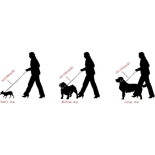 Strong Dog Chain Gold Leash Long 3FT 4FT 5FT 18K Stainless Steel 12mm Curb Cuban Link Dog Leash with Comfortable Genuine Leather Handle(Gold, 3FT)