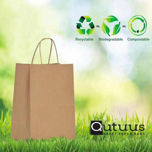 Qutuus 10x5x13 Kraft Paper Bags 100 Pcs Kraft Shopping Bags, Paper Gift Bags for Retail, Merchandise, Recycled Bulk Paper Sacks, Brown Paper Bags with Handles Bulk