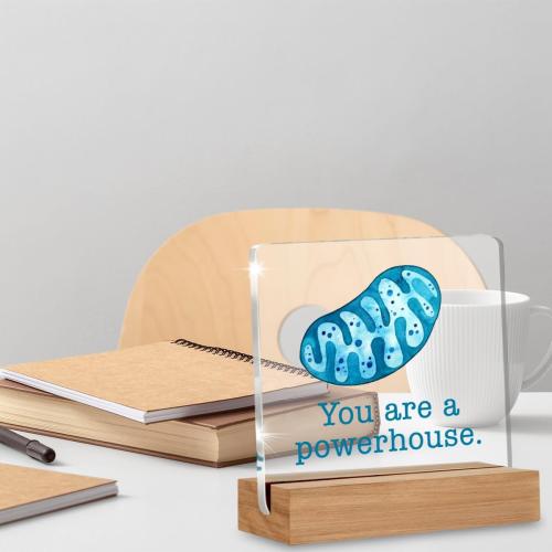 Biology Gifts for Women Men, Science Motivational Quote Sign, Acrylic Decorative Sign, 4 x 4 Inches