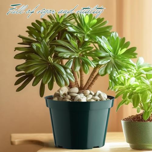 8 Inch Plastic Plant Pots, 15 Pack Sturdy Nursery Pots with Drainage Holes, Flower Planter Pots for Indoor Outdoor, Garden Containers Sets for Vegetable Herbs Flowers, Green