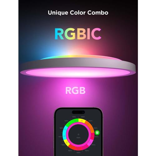 Govee Smart Ceiling Light, RGBIC LED Ceiling Light Fixture, 2400LM Flush Mount Light Fixture, DIY Colors, Works with Matter Alexa, 2700K-6500K Lights for Bedroom, Living Room,12 Inch, 1 Pack (White)