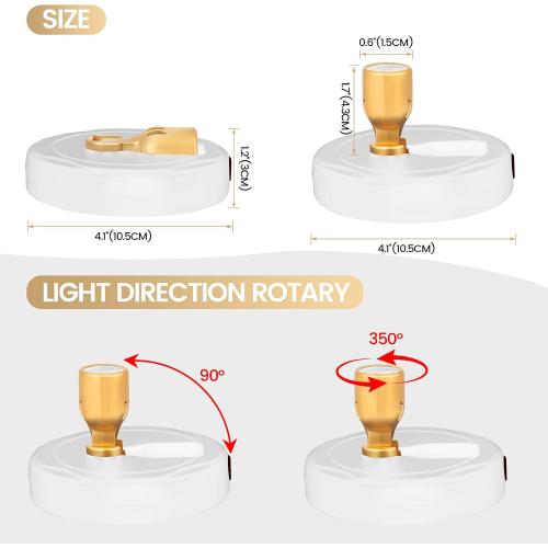 Set of 2 LED Spotlight, Rechargeable Battery Picture Lights, Uplighting Indoor with Remote, Stick Spot Lights for Wall Display Dartboard Painting Artwork Accent-2pcs