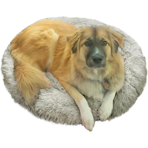Dog and Cat Bed Super Plush Cuddler Round Soft Comfortably Stuffed Choose Size and Color (Medium/Large - Cream)