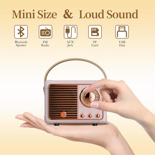 Retro Bluetooth Speaker, Wireless Mini Portable Speakers Vintage Radio Support USB/TF Card/AUX, Cute Bluetooth Speaker for Kitchen Desk Bedroom Office, Birthday Gifts for Women Teenage, Pink