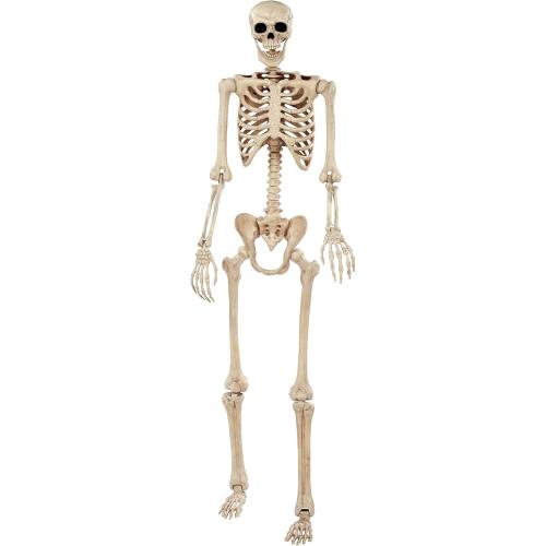 Crazy Bonez Pose-N-Stay Halloween Skeleton, 6 FT – Life-Size, Realistic, Fully Poseable Indoor & Outdoor Decoration, Durable Weather-Resistant Spooky Prop for Yard, Porch, Haunted House