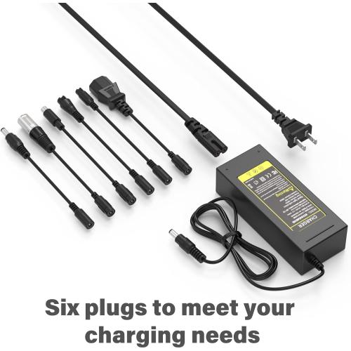 54.6V 2A Fast Charger 7 in 1 Plugs Universal for 48V 13S Lithium Batteries, Pinkind 48V Li-ion Battery Charger Replacement for Razor, Jetson, Voyage, Gotrax, Ninebot,Segway, Hiboy and More
