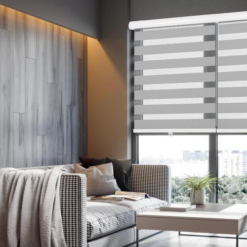 Cordless Zebra Blinds for Windows, 18 W x 72 H Zebra Roller Shades with Valance Free Stop Zebra Roller Shades, Light Control Window Treatments Dual Layer Sheer Blinds for Day and Night, Grey