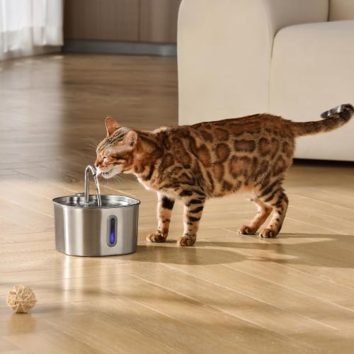 KittySpout Stainless Steel Cat Water Fountain Automatic Drinking Fountain, Quiet Circulating Water Bowl, Dishwasher Safe, Indoor Pet Fountain for Hydrated Healthy Cats (Stainless Steel, 2.2L Corded)