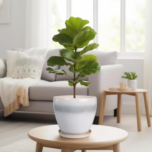 Ceramic Pots for Plants - 8 Inch Planter with Drainage Hole and Saucer, Round Flower Pot for Indoor Outdoor Plants, Decorative Planter, House Patio Decor, Housewarming Gifts, White-Grey