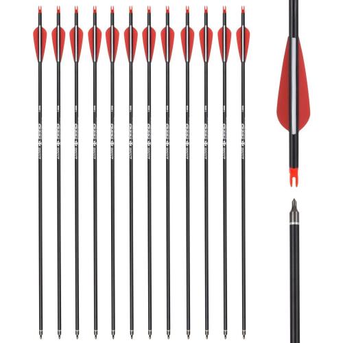 Carbon Arrow Hunting Arrows with 100 Grain Removable Tips for Archery Compound & Recurve & Traditional Bow Practice Shooting (Pack of 12)
