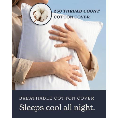 Beckham Hotel Collection Bed Pillows Standard/Queen Size Set of 2