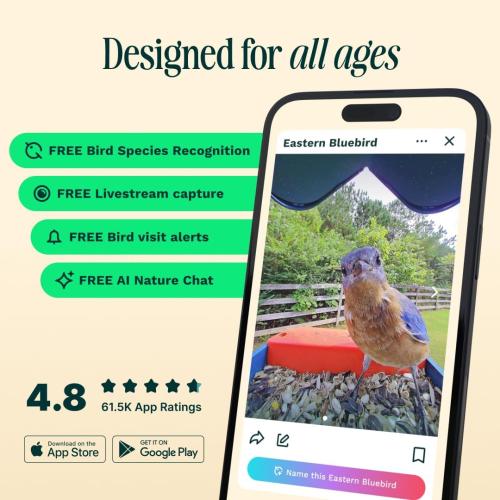 Birdbuddy PRO Solar Smart Bird Feeder with Camera - AI Bird Species Identification, 5MP Photos, 2K HD Video Live Stream Camera, Slow-Motion Video, 2.6in Focus - Blue Solar