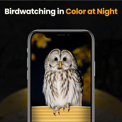 Smart Bird Feeder with Camera, 2.5K UHD Bird Camera AI Identifies 11,000  Bird's Species, Real-time Bird's Videos & Pictures, Solar Powered Wireless Outdoor, Ideal