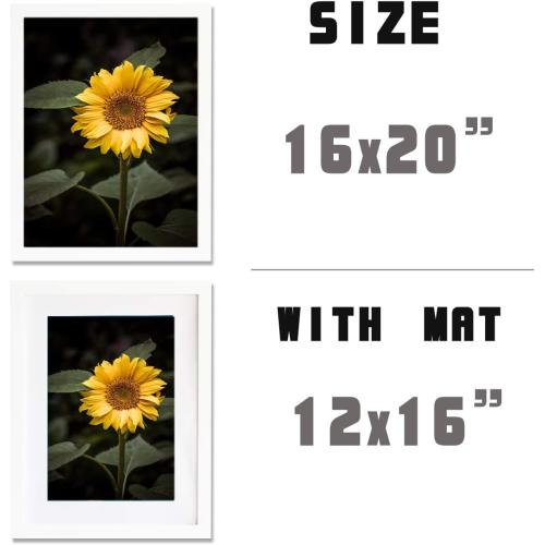 16x20inch Picture Frame 2 Pack White Solid Wood Display Pictures 12x16 with Mat or 16x20 Wall Without Mounting Photo Frames（2pcs）