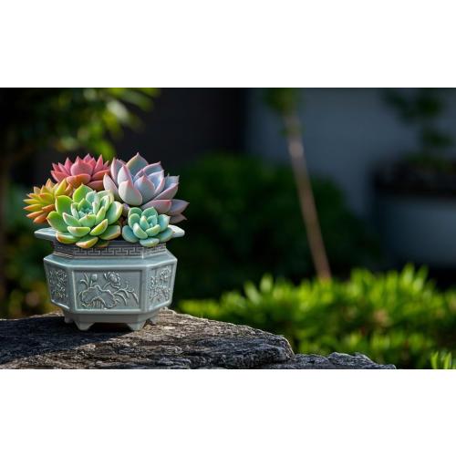 8-Inch Large Octagon Bonsai Pot Light Blue Water Glaze Bonsai Tree Ceramic Flower Pot Handmade