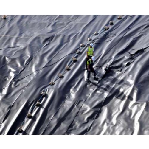 Generic Black Plastic Roll 6mts Wide X 40mts Long C-600, rollomini6x40