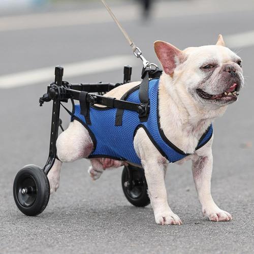 Adjustable Dog Wheel-Chair for Back Legs,Pet Walk Tools,Pet Mobility Aids with Wheels,Brace and Hip Support, Suitable for Back Legs,Dog Assisted Walking Device