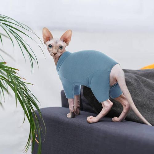 ROZKITCH Sphynx Cat Shirt, Breathable Soft Jumpers for Hairless Cats Only, Coat with Four Legs, Warm Sweater T-Shirt Pajamas Jumpsuit Vest Cornish Rex, Devon Rex, Peterbald Blue XXL